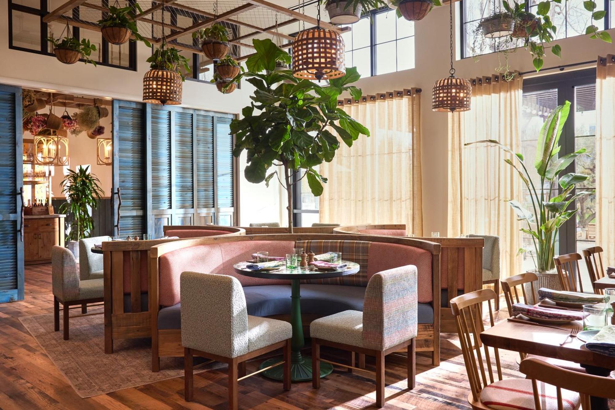 Treehouse Hotel Silicon Valley Sunnyvale Dış mekan fotoğraf